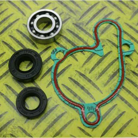 KIT JOINTS REPARATION POMPE A EAU HOT RODS YZF 250 01/13