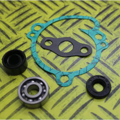 KIT JOINTS REPARATION POMPE A EAU HOT RODS YZF 250 01/13