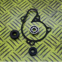 KIT JOINTS REPARATION POMPE A EAU HOT RODS YZF 250 01/13