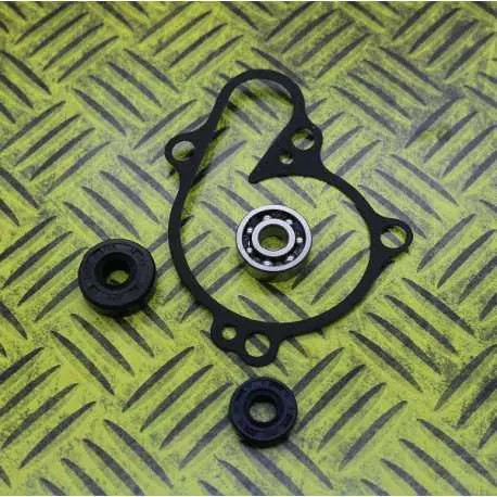 KIT JOINTS REPARATION POMPE A EAU HOT RODS YZF 250 01/13