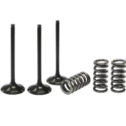 KIT CONVERSION SOUPAPE ADMISSION TITANE EN ACIER PROX CRF 250 04/07