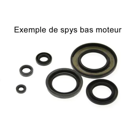 POCHETTE JOINTS SPY BAS MOTEUR TECNIUM YZF 250 01/06