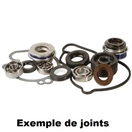 KIT JOINTS REPARATION POMPE A EAU HOT RODS YZF 250 01/13